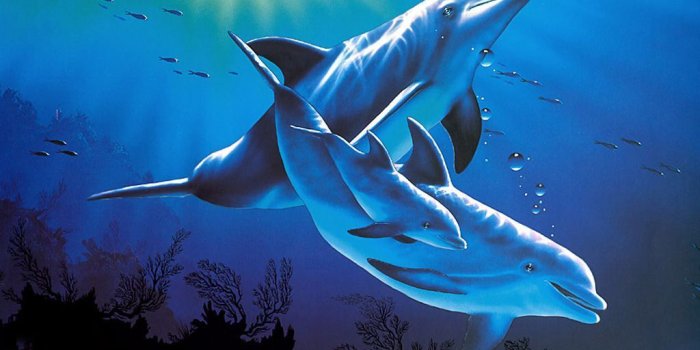 1024x768 Image detail for -black 3d wallpaper , wallpaper, desktop