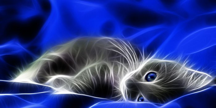 1680x1050 Images for wallpaper on computer Gallery