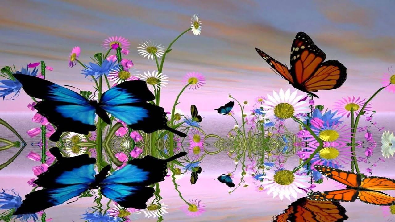 1280x720 Fantastic Butterfly Animated Wallpaper http://www.desktopanimated.com