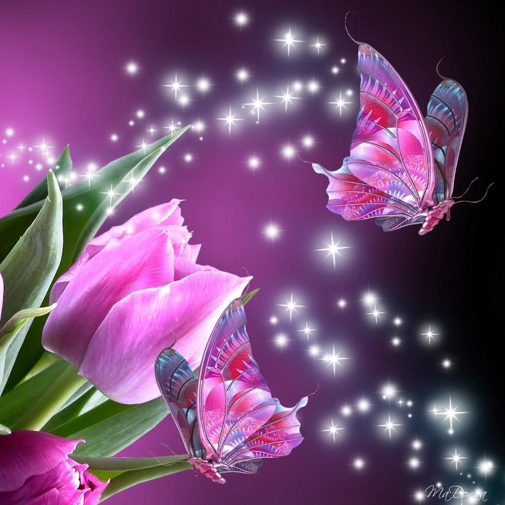 1024x1024 Animated Butterfly Wallpapers - Top Free Animated Butterfly