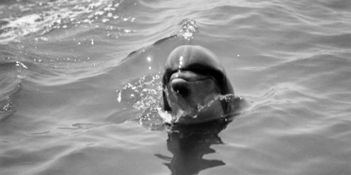 1024x768 Irmin.Com Wall Papers