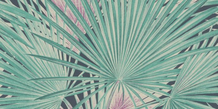 1000x1000 Wallpaper Rasch tropical palm leaf blue turquoise 803327