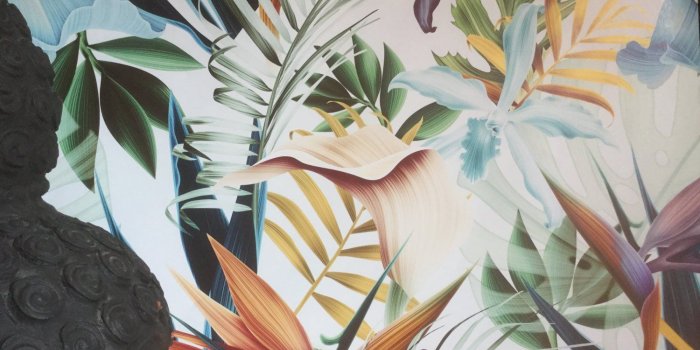 1500x1125 Blue tropical wallpaper – WallpapersforBeginners