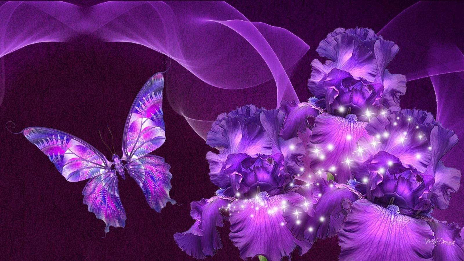 1920x1080 Pink and Purple Butterfly Wallpaper (65+ images)