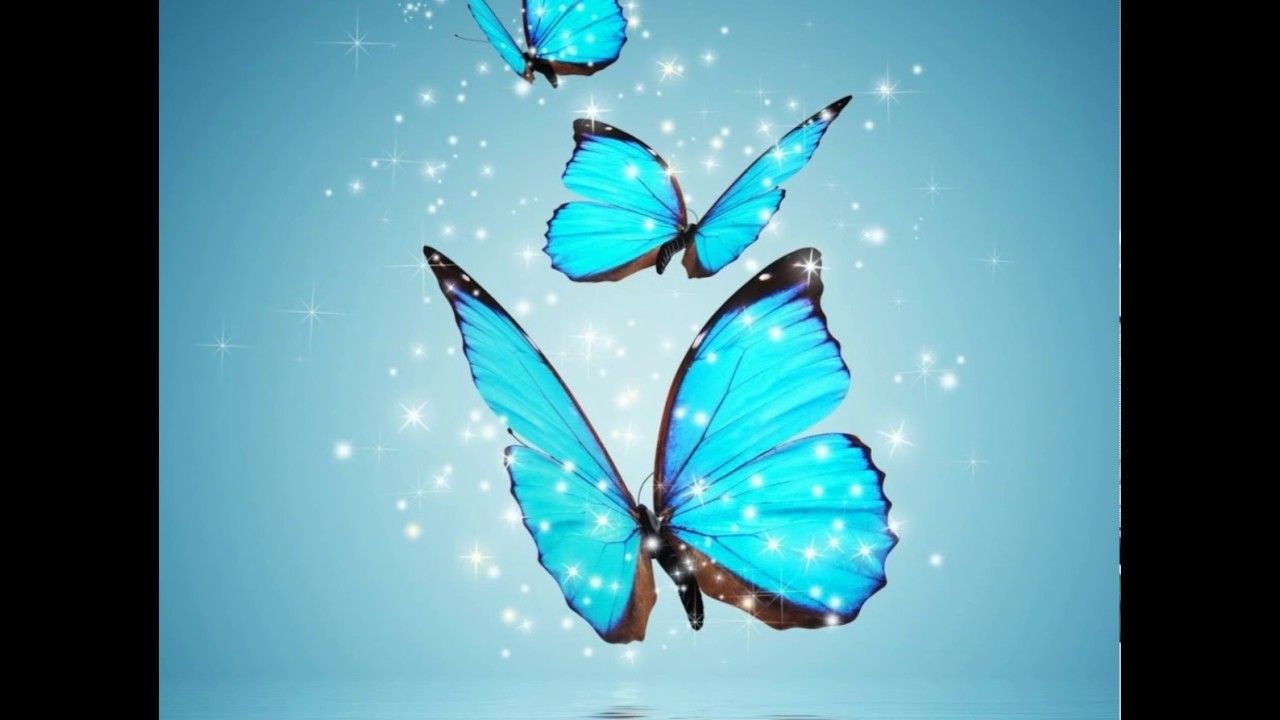 1280x720 Animated Butterfly Wallpaper Desktop - Best Wallpaper For Mobile