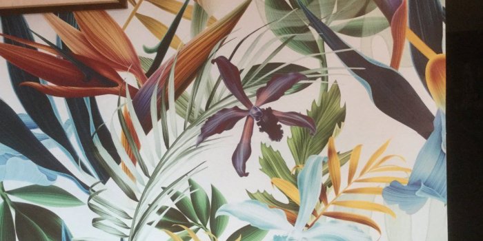 1125x1500 Blue tropical wallpaper – WallpapersforBeginners