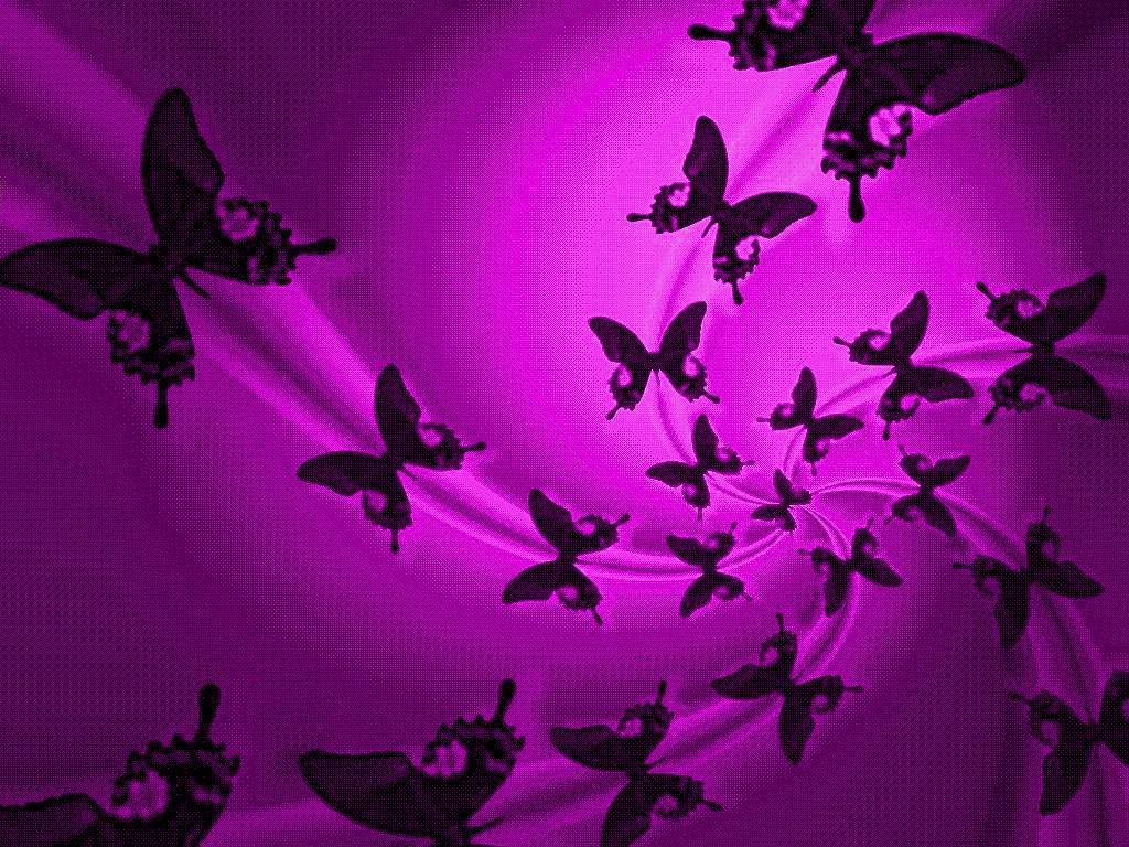 1024x768 Animated Butterfly Wallpaper ,free download, (30) - cerc-ug.org