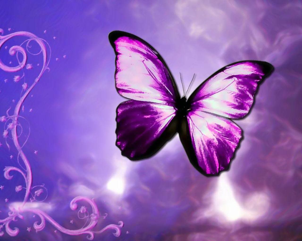 1280x1024 Purple Animated Butterfly - Wallpapers Browse