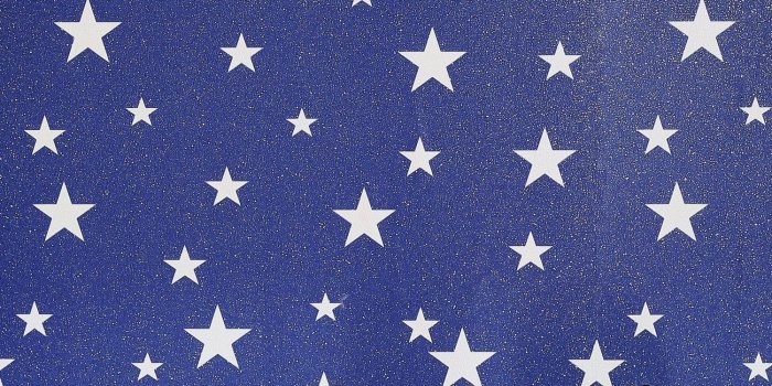 1500x1500 Details about MIDNIGHT BLUE NAVY WALLPAPER - GEOMETRIC METALLIC TROPICAL  ANIMALS