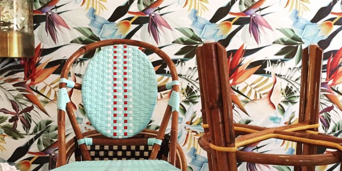 1600x1600 Tropical wallpaper, botanical wallpaper, removable wallpaper