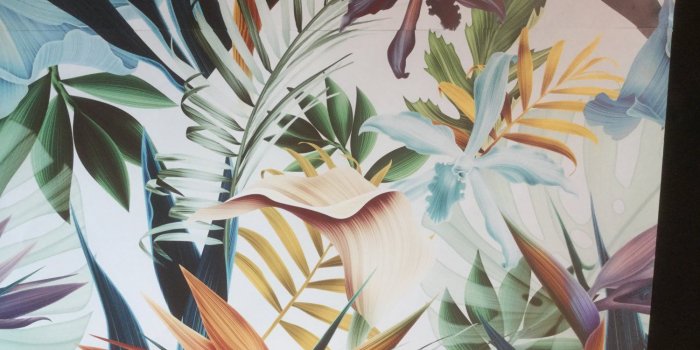 1500x1125 Blue tropical wallpaper – WallpapersforBeginners