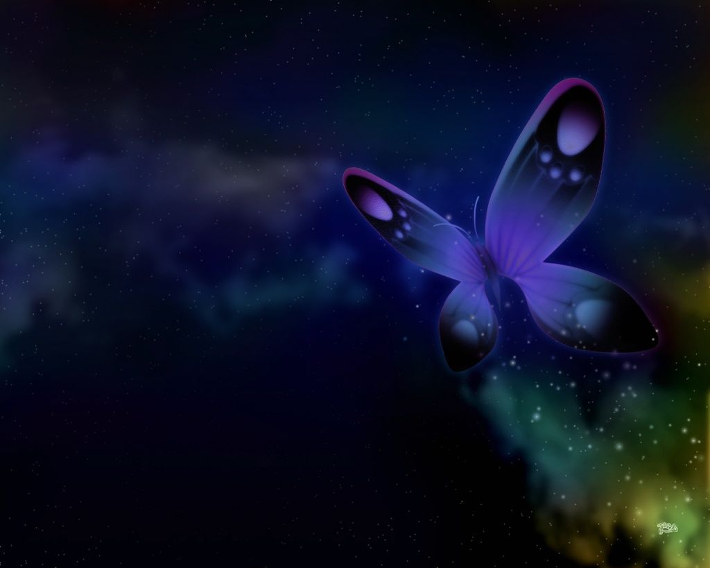 1024x819 Butterfly wallpaper for desktop Gallery
