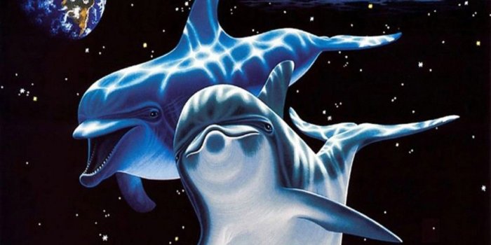 1332x850 Wallpaper sea, graphics, dolphins, black background images for