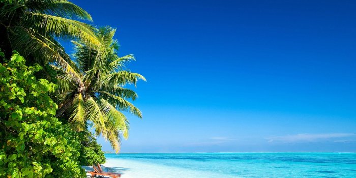 2560x1440 50+ Tropical Ocean Wallpapers - Download at WallpaperBro