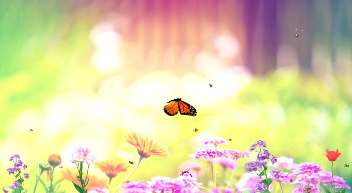 1215x667 Spring Animated Wallpaper | Wallpapers Names