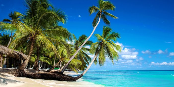 5120x2880 Wallpaper Beautiful beach, palm trees, sea, blue sky, clouds