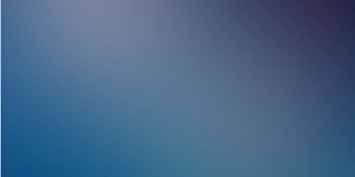 736x1308 Gradient Iphone Wallpaper (69+ Pictures)