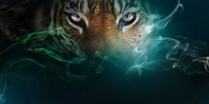 1280x800 Wallpaper - Tiger eyes - Tiger Pictures | Football | Tiger wallpaper