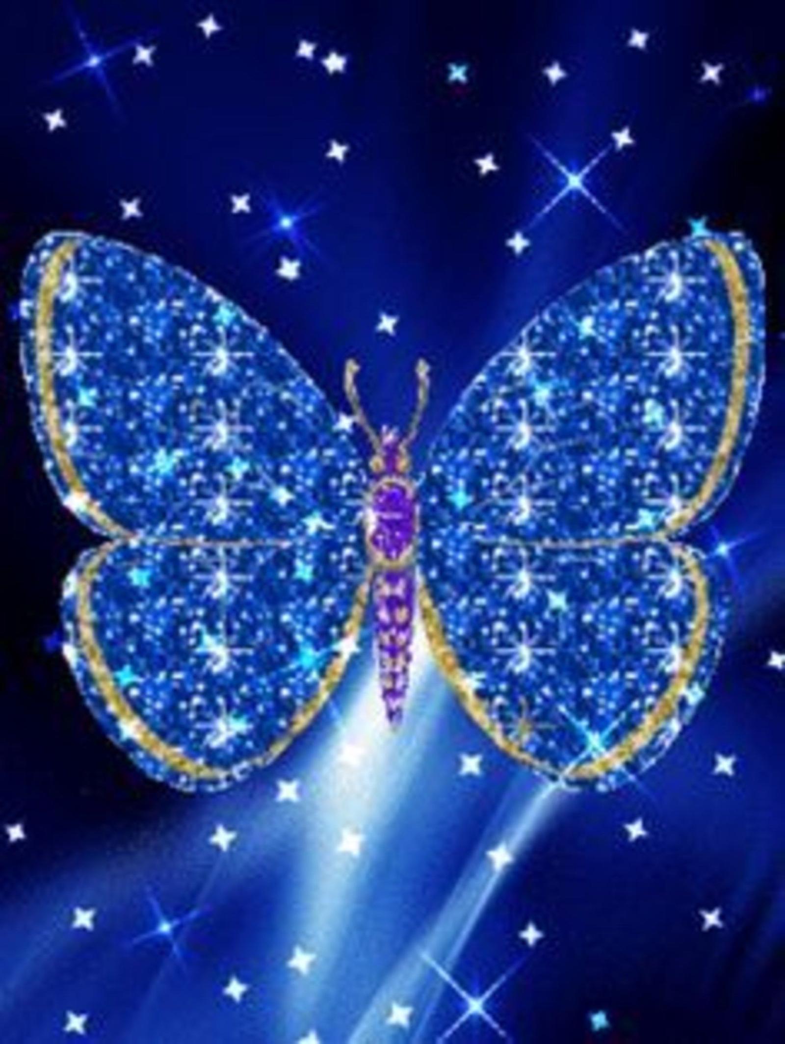1924x2560 21448400 animated butterfly gif | Blue butterfly download Free