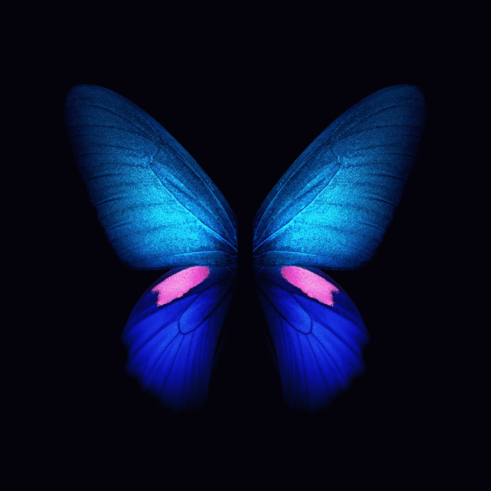 2152x2152 You can download the Live Wallpapers from the Galaxy Fold right here