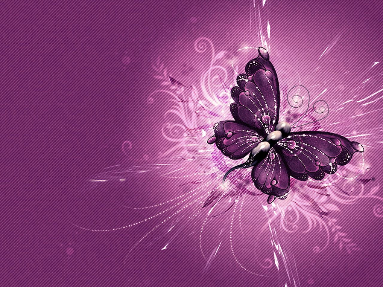 1280x960 Animated butterfly screensavers free downloads