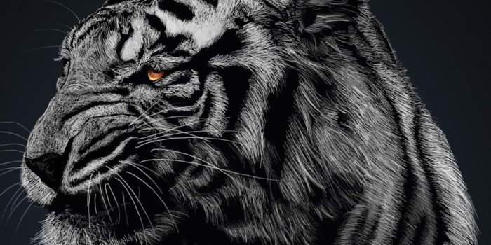 1280x1024 Tiger Eyes Wallpaper (110+ images in Collection) Page 1