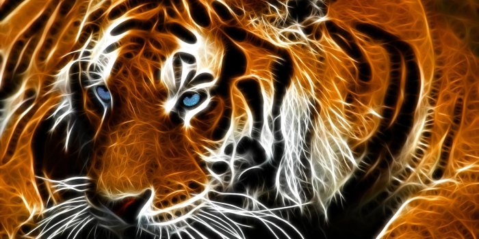 1920x1200 Tiger Eyes Live Wallpaper for Android - APK Download