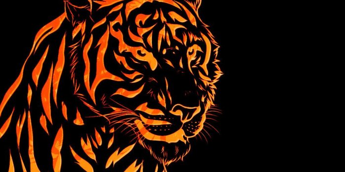 1032x774 Cool Tiger Eyes Wallpaper