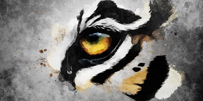 1680x1050 Tiger Eyes Live Wallpaper for Android - APK Download