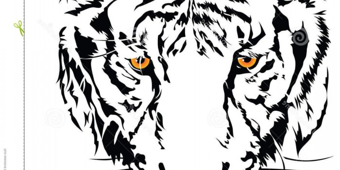 1501x1560 Latest Tiger Eyes Clipart Black And White | Soidergi for you | Paula