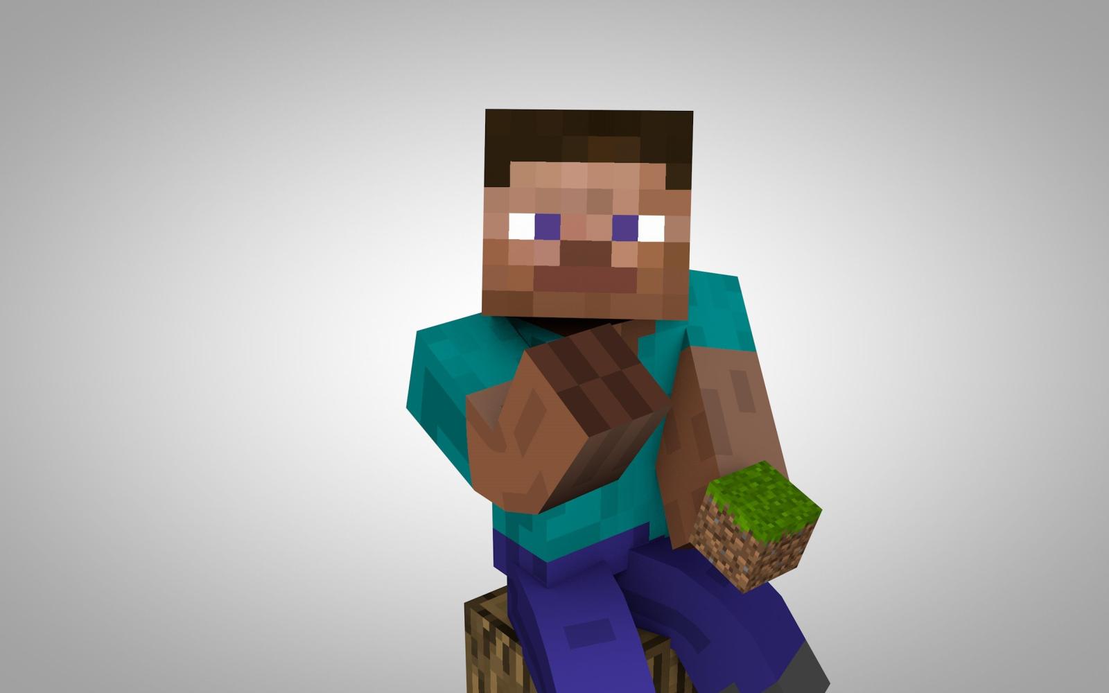 2560x1600 Minecraft Steve Wallpapers