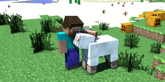 1244x700 Minecraft Steve Wallpapers