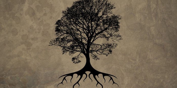 1366x768 50+] Celtic Tree of Life Wallpaper on WallpaperSafari