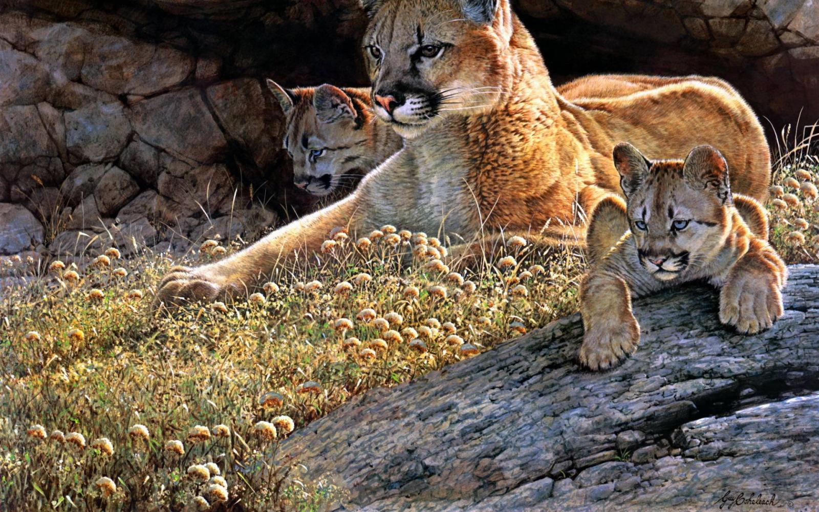 1920x1200 Big Cats, Artist, Puma, Wildlife, Animal 16:10 Wallpaper, 1920x1200