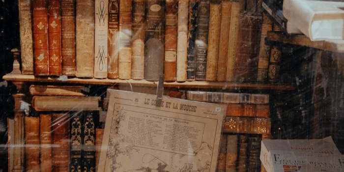 1000x1500 Dark Brown Aesthetic Wallpaper – Free Download Wallpaper