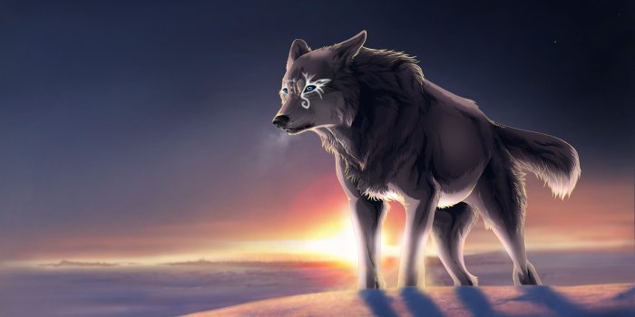 2310x1540 pictures of magical wolves | Download wallpaper winter, wolf, magic