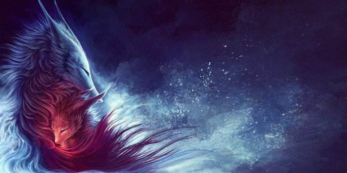 1191x670 Magic Wolves Creatures #4244016, 1191x670 | All For Desktop