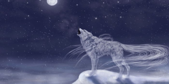 1920x1080 Wallpapers Wolves Fantasy Moon Magical animals 1920x1080