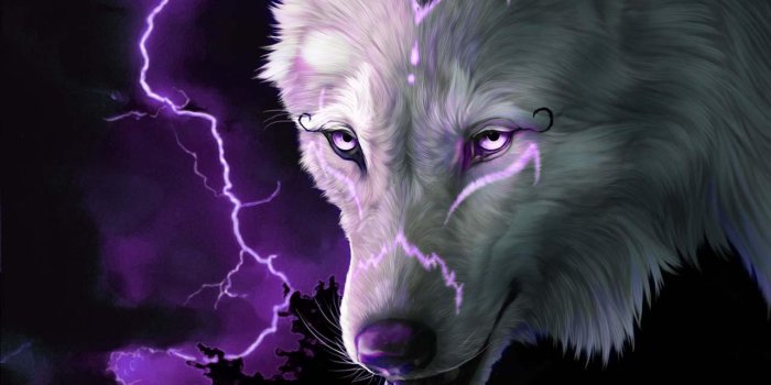 1280x800 Download the wolf wallpaper hd - magic pro Android Apps On