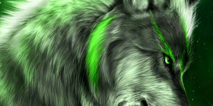 1080x2220 Dream Wolf iPhone Wallpapers - Top Free Dream Wolf iPhone