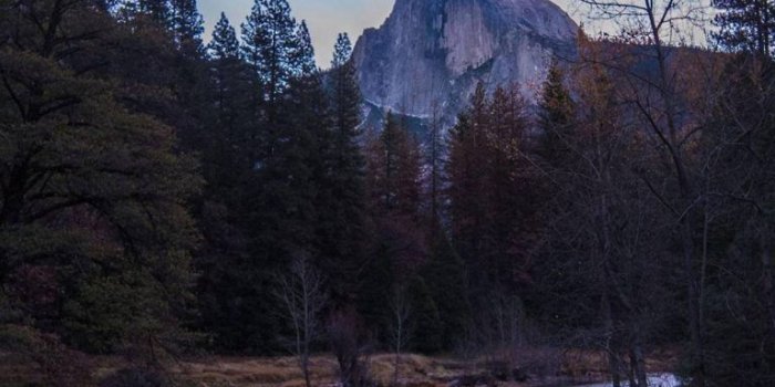 768x1664 50+ Free vivo Z1 Pro Phone Wallpapers - TalkElement