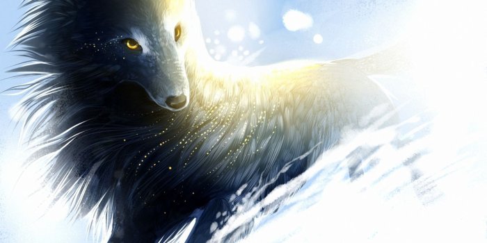 1257x700 Art wolf snow wind sparks magical f wallpaper | 1939x1080 | 176478