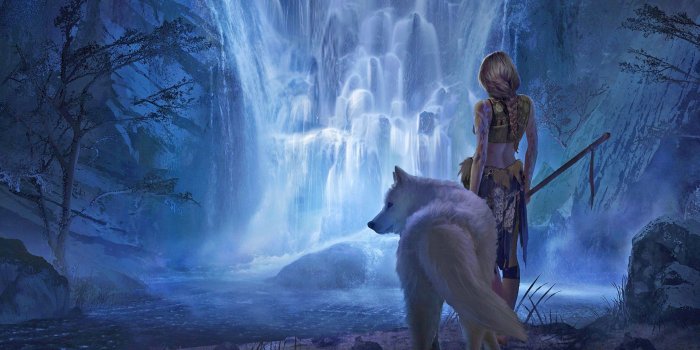 1920x1080 Live Wolf Wallpapers (50+ images)