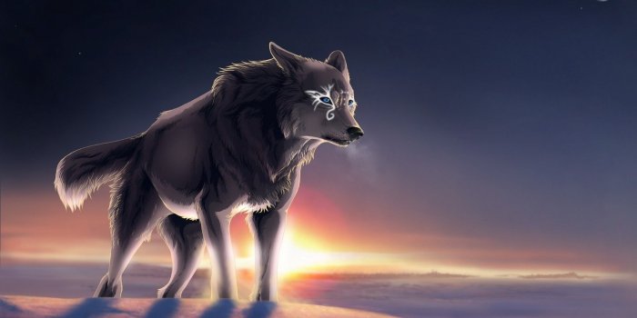 1920x1080 White wolves on a rock in the forest wallpaper - Animal wallpapers