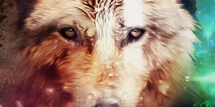 750x1334 45+] Wolf Wallpaper for iPhone on WallpaperSafari