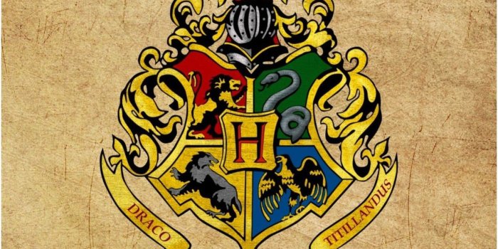 1221x1997 68+ Hogwarts Iphone Wallpapers on WallpaperPlay