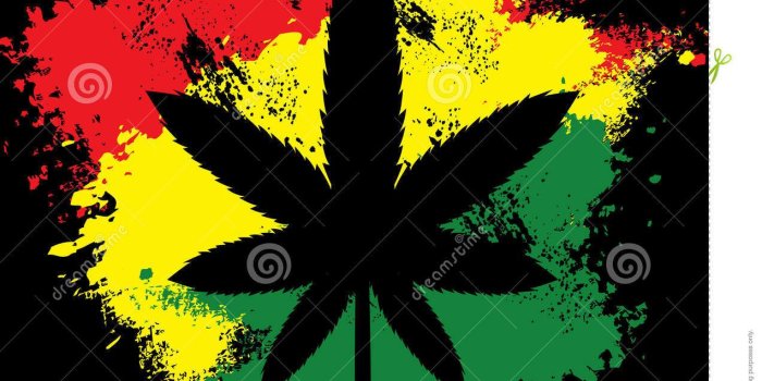1272x1300 Free download Rasta Weed Wallpaper Backgrounds [1272x1300] for your
