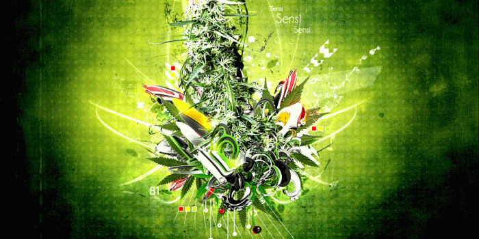 1125x900 Marihuana and Weed Wallpapers 3.3 APK Download - Android