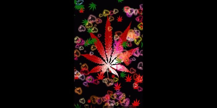 1280x720 Weed Rasta Live Wallpaper