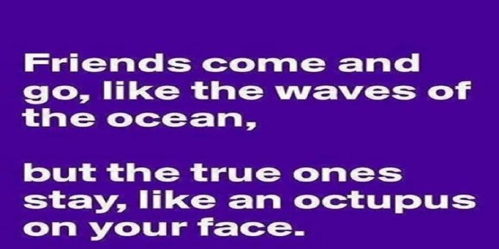 1920x1080 Best Friend Backgrounds (49+ images)